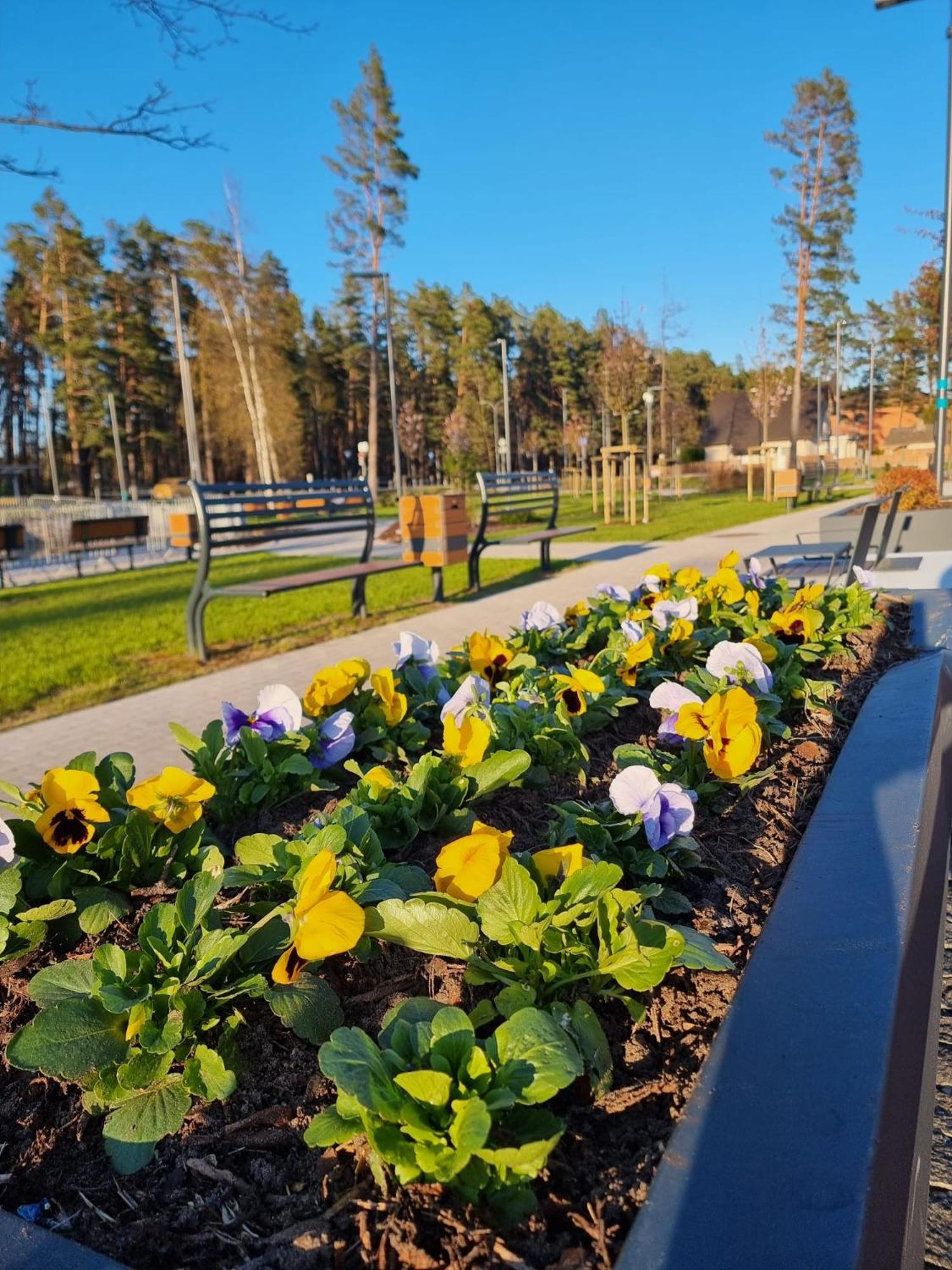 Flip-Flops Apartment Jurmala With Free Parking 외부 사진